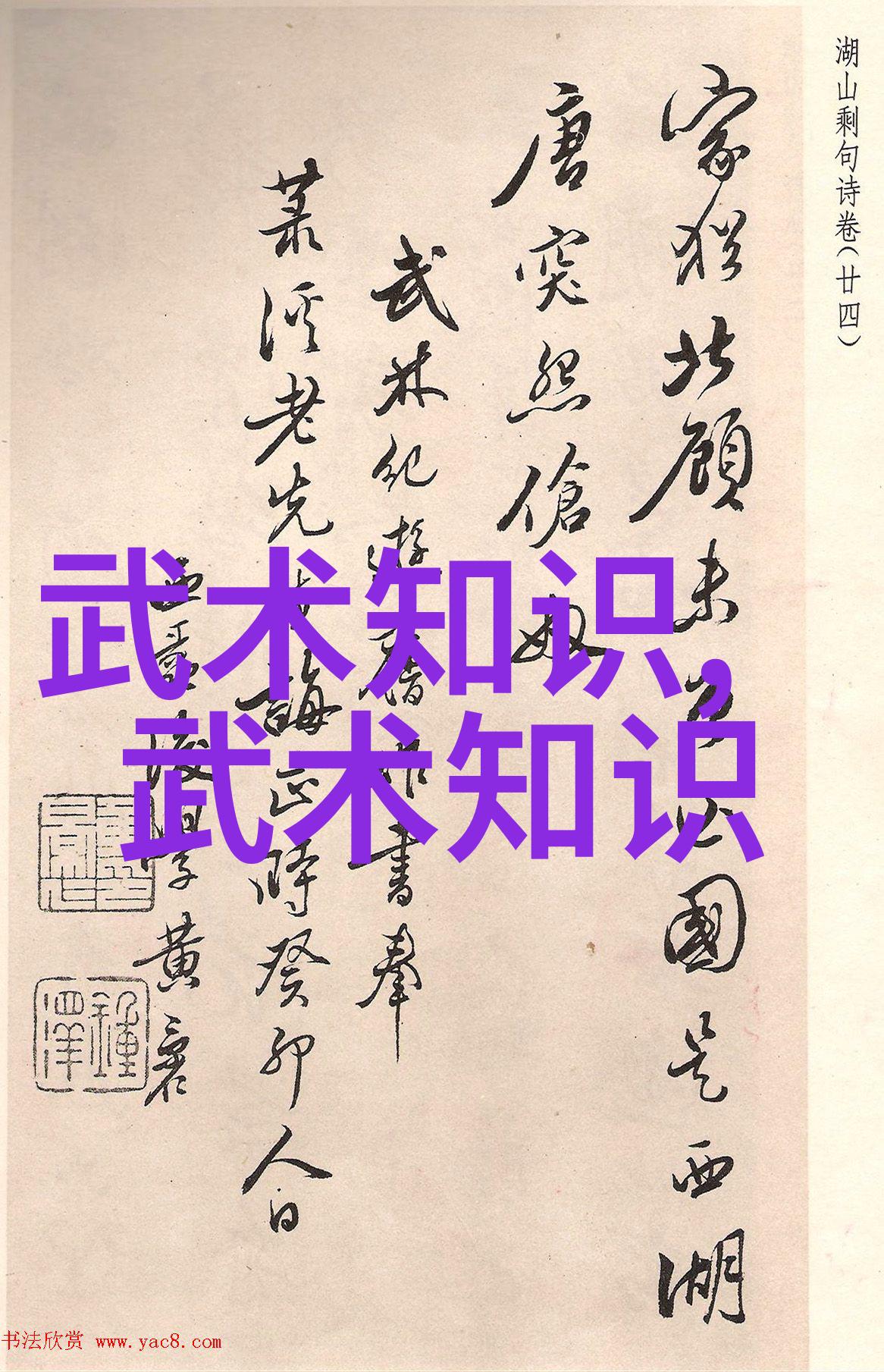 帮派之光大名府内家拳江湖中最精妙的武学秘笈