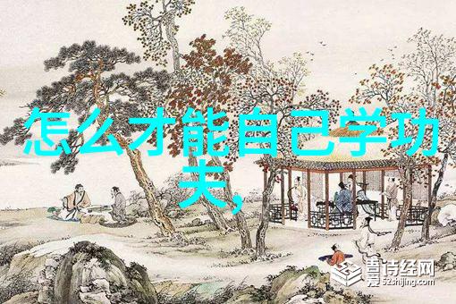 南拳和华拳哪个厉害武当派门派拳种大比拼