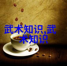 太极拳技巧解析-揭秘十三式太极拳分解动作的奥义与实践
