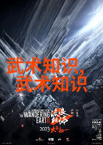 中国武术拳法的丰富多样性与发展历程