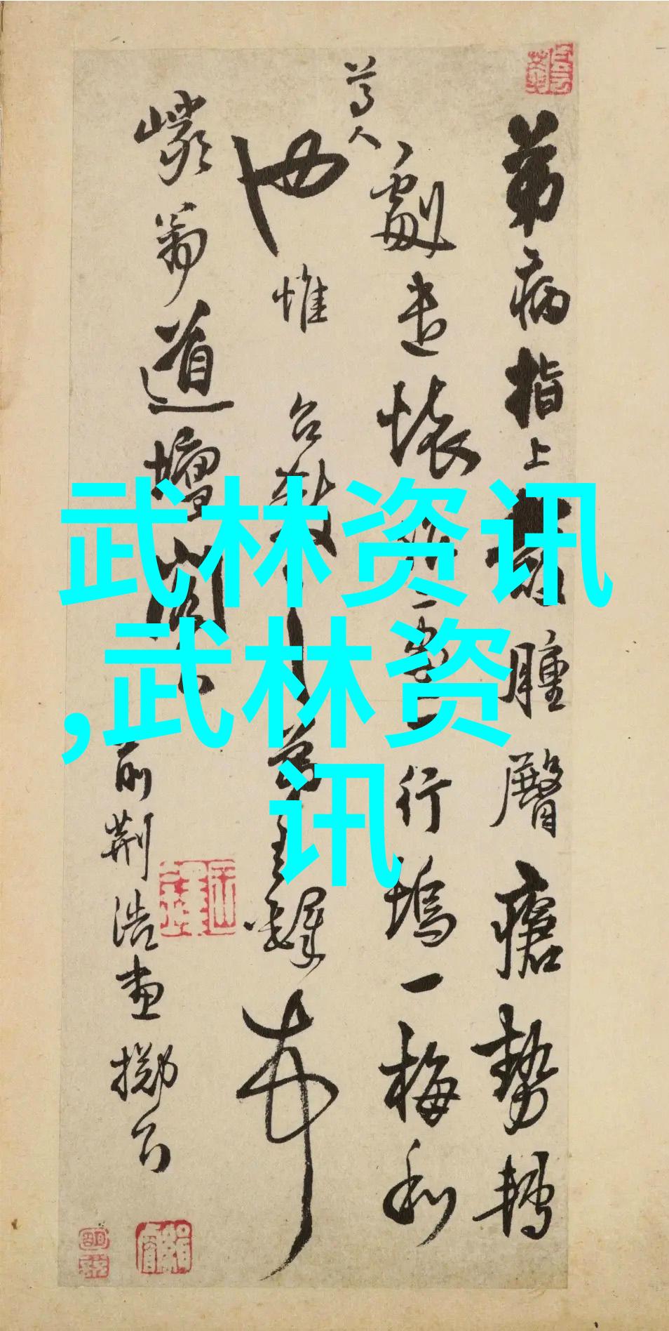 沈氏随手中国武术十大门派中的自然之韵