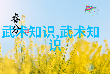 哪门武术最厉害门派拳种三皇炮锤拳双雄对决天下无双