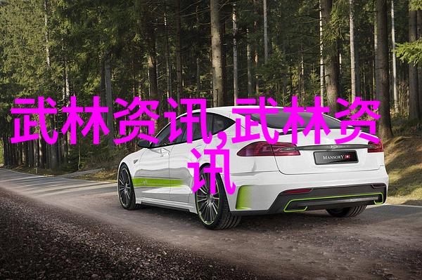 武侠世界观念不同文化背景下人们对中华武侠这一概念有何理解差异