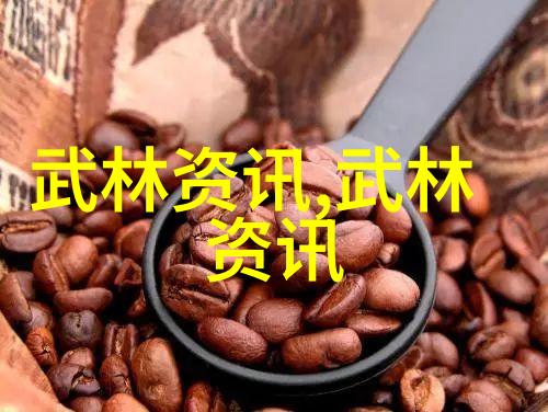武林秘籍揭秘古代高手的武学之道