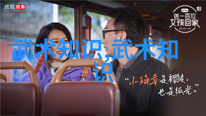 探索中国武术拳法的多样性揭秘千年传承中的技艺丰富