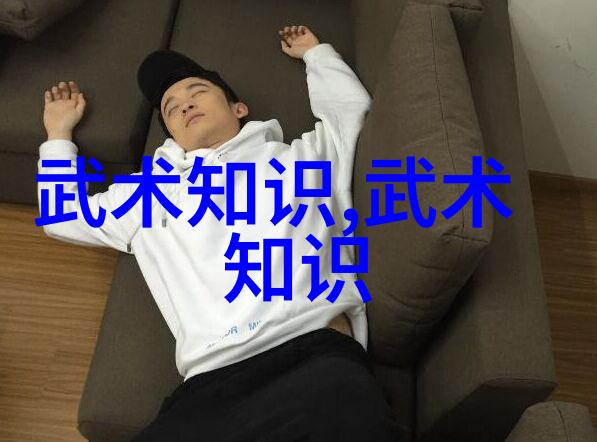 现代门派有哪些自然之中武式固安太极拳舞动