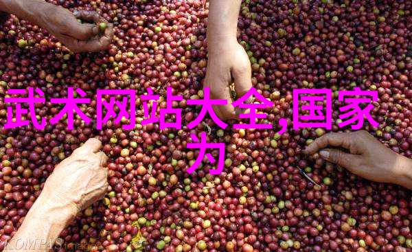 中国武术秘笈十大门派的辉煌与独特