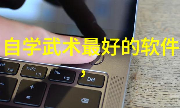 太极拳24式解析揭秘内在修为与外在动作