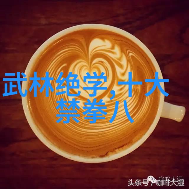 中国武术的巅峰之作拳影中寻实战精髓