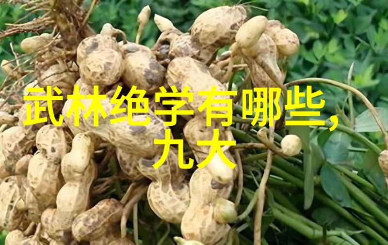 中国武术十大拳法古韵沉浮