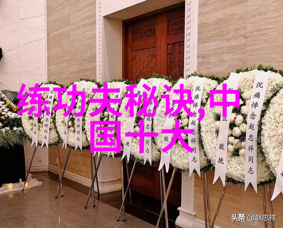 武功秘籍大全拳法技艺与图像解析