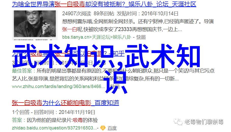 自学武术之旅太极拳与气功的精髓探秘