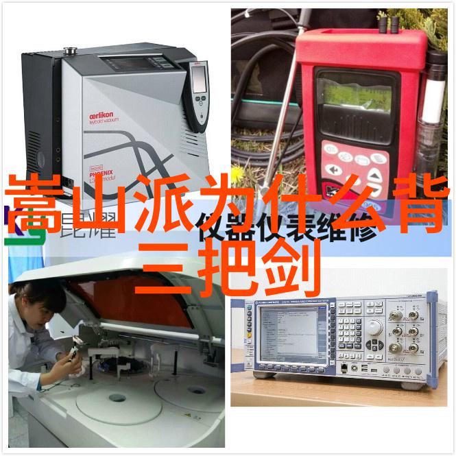 在武功秘籍网上能找到传统武术的精髓吗