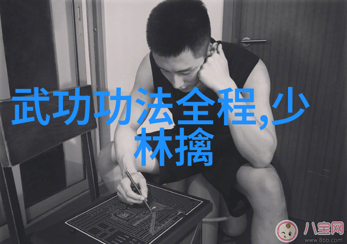 太极24式正面背面中国武术太极拳的基本招式