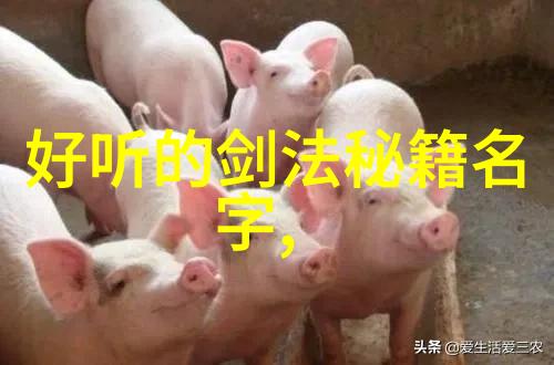 关节损伤引体向上腰酸背痛你做对了吗