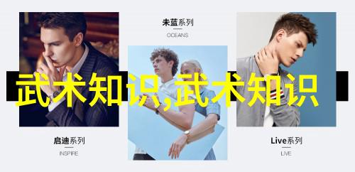 古老智慧新体验现代应用中的拳法十六招式图解