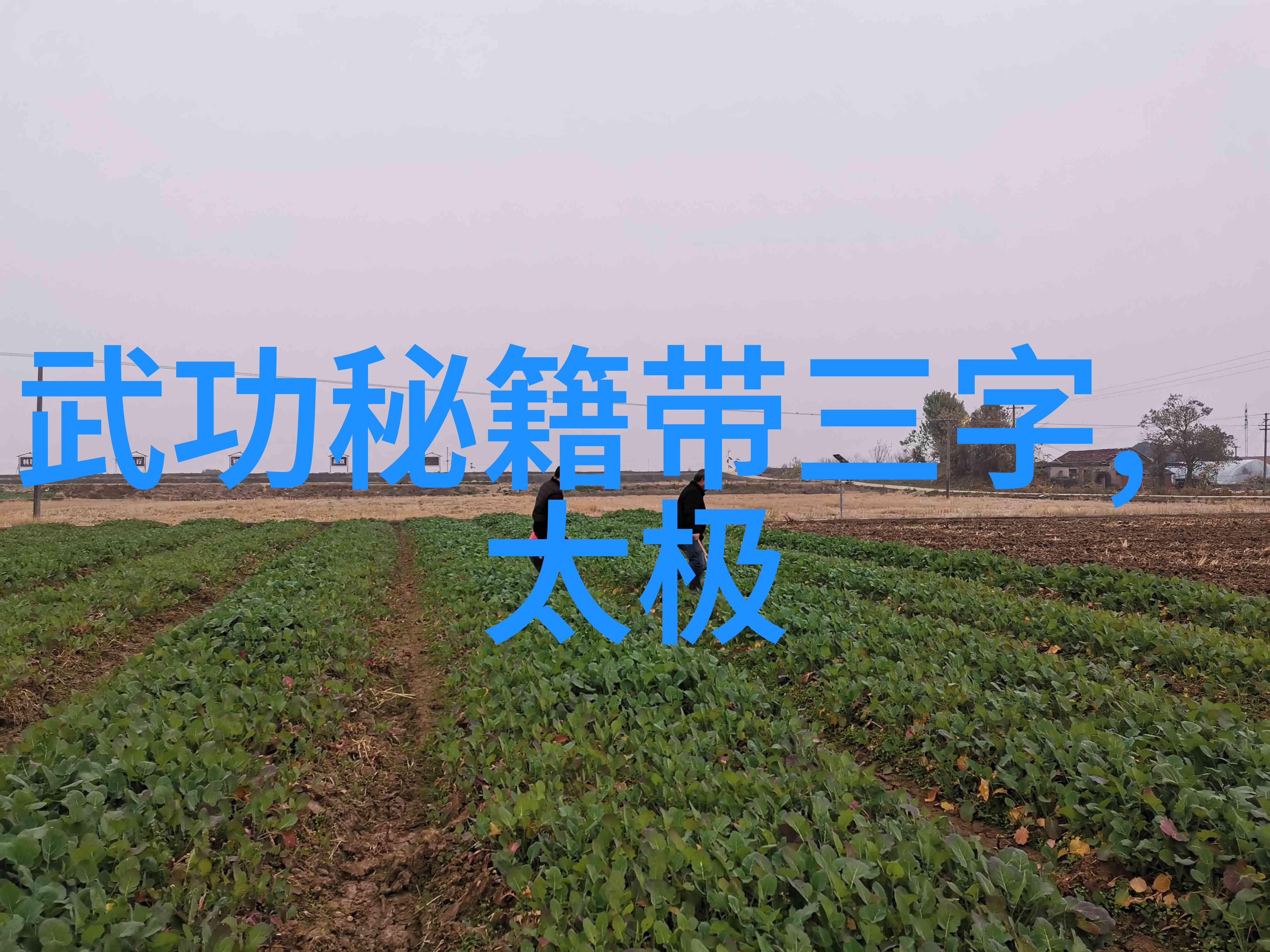 俊男坊txt新浪青春少年生活的网络文学社区