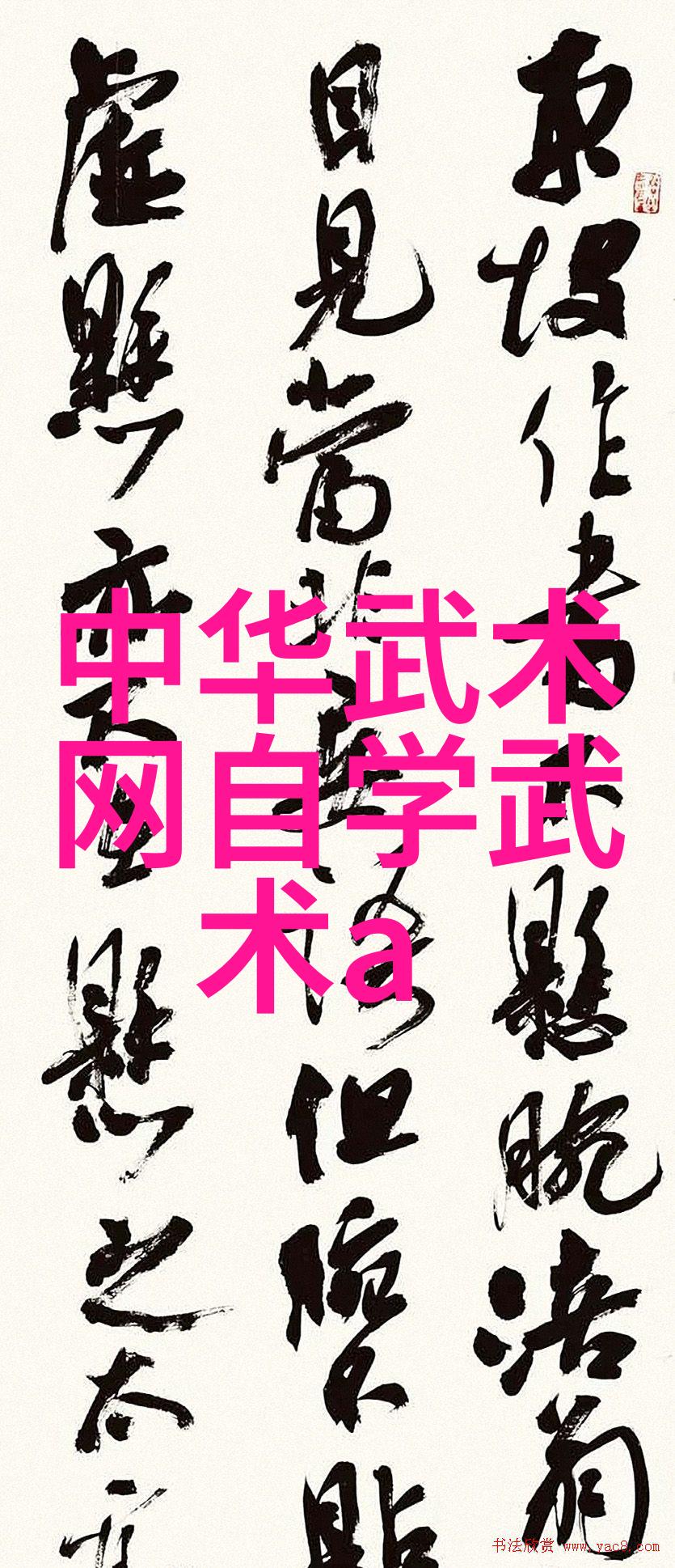 真实武功秘籍中华武术的宝贵遗产