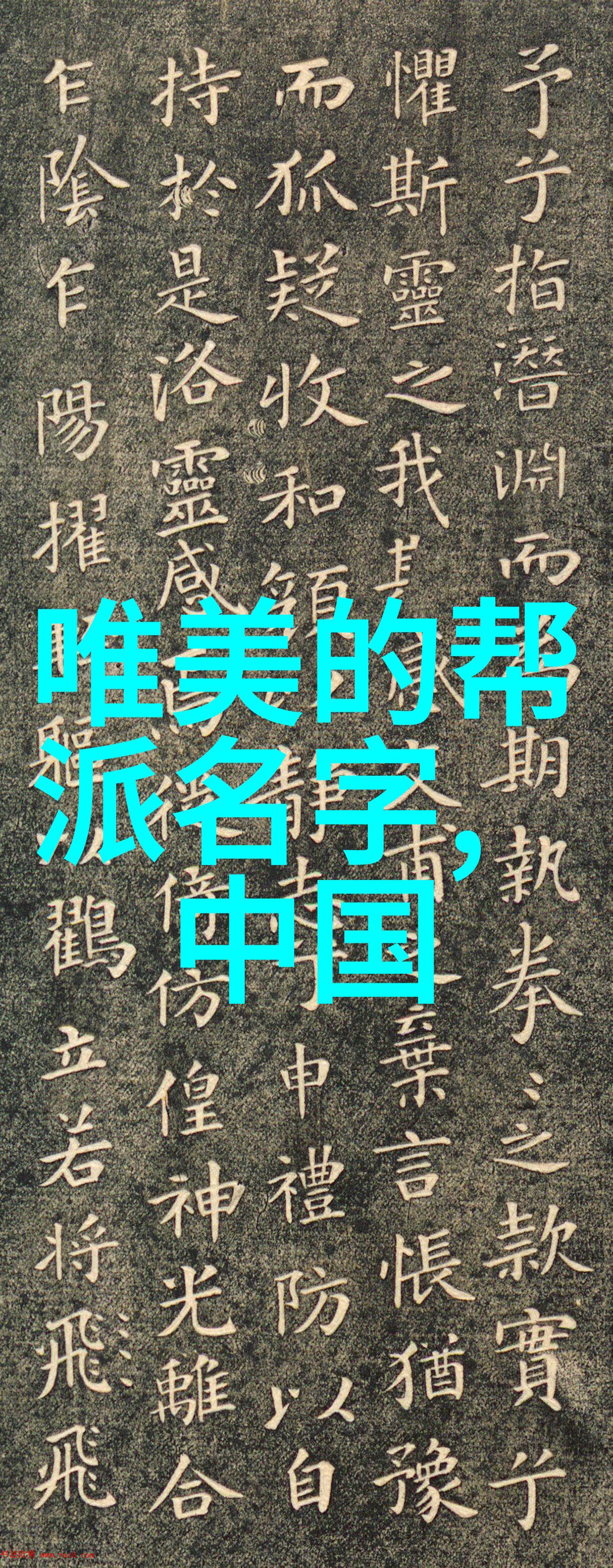 乒乓球教学深度解析国家队选手的竞技策略与训练方法