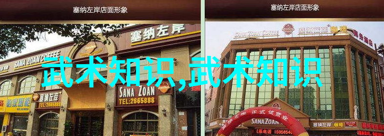 江湖秘笈探寻武林门派的古韵与神秘
