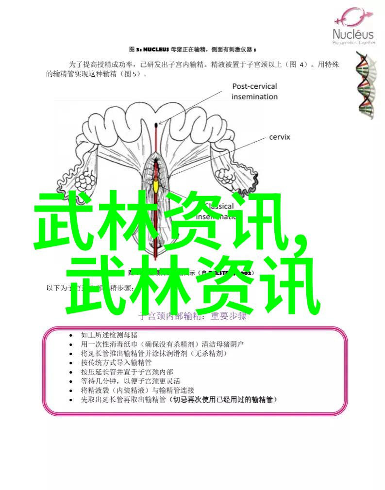 西班牙登山队在中国最神秘的山脉探险