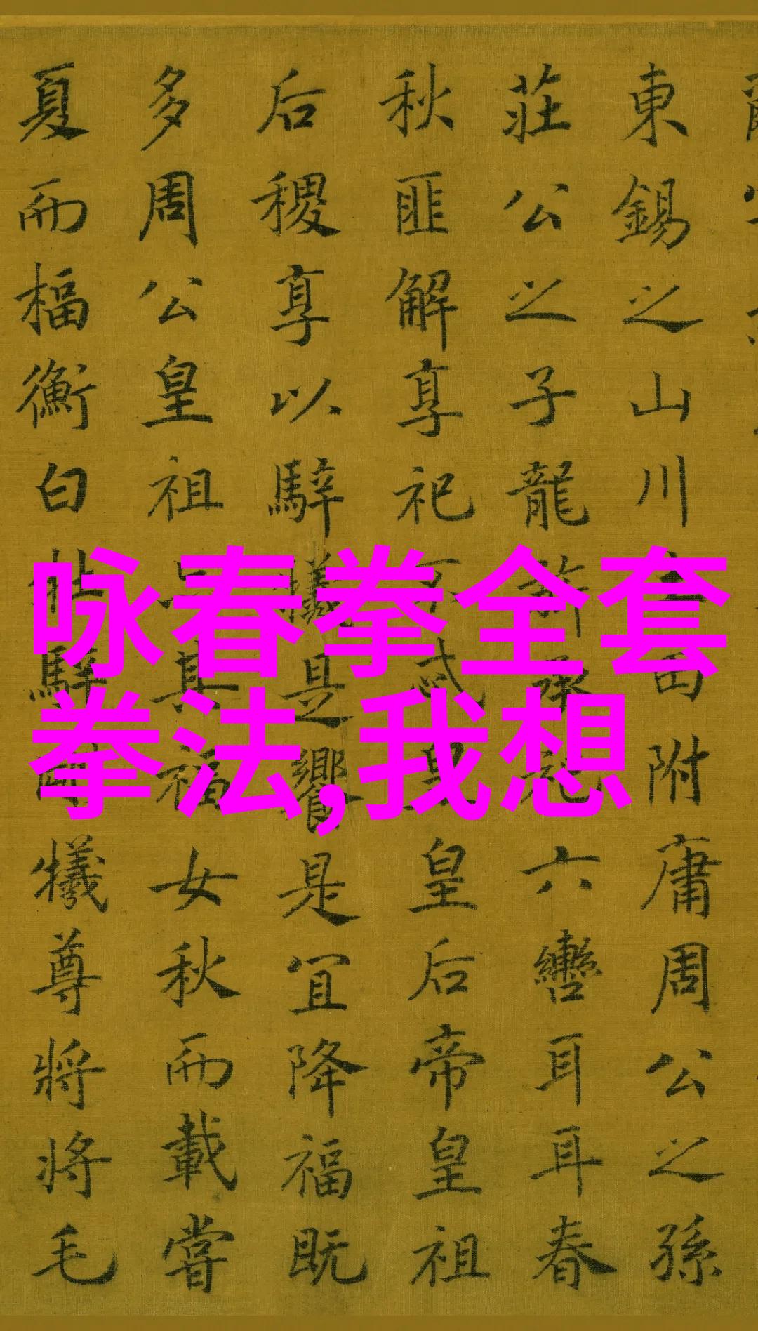 拳击之王揭秘最具破坏力的武术体系