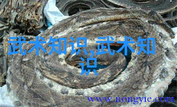 在自然之光下探索台球杆的握杆技巧与台球灯的魅力