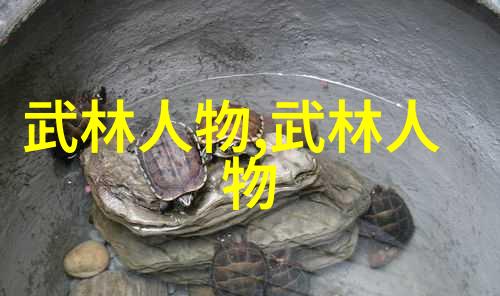 武林门派名字-江湖千门揭秘武林门派的神秘名称