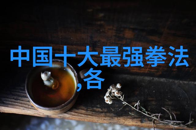 武林绝学云游四海的秘籍之旅