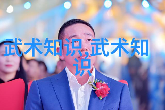 揭秘太极拳24式图解探索内外合一的武学艺术