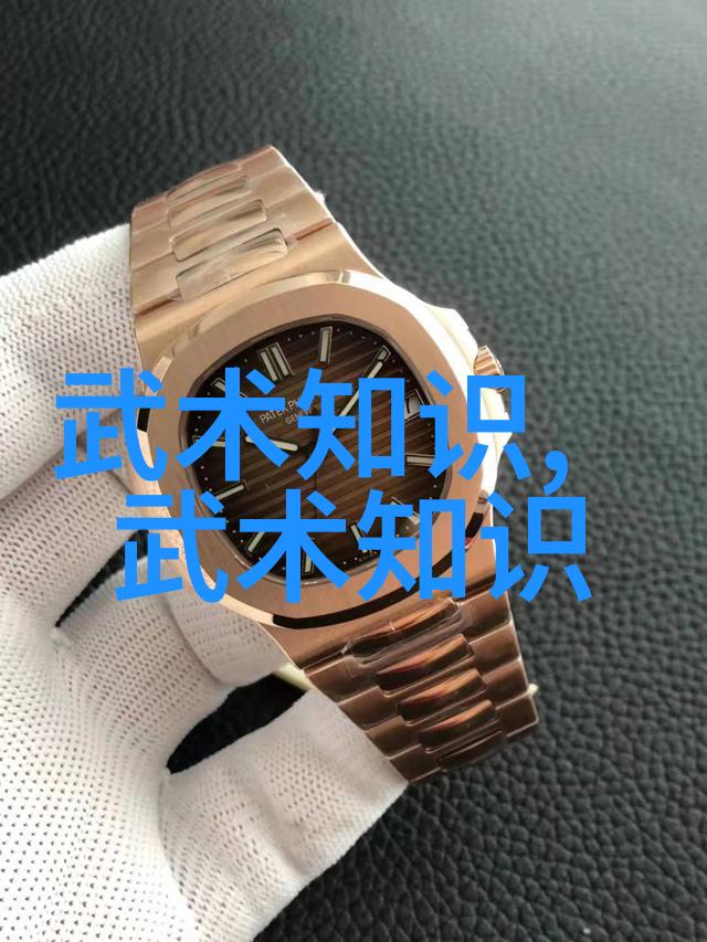 古韵悠长探索48式太极拳全套视频带口令的魅力