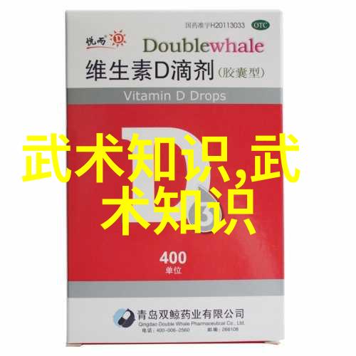 中国武术丰富多彩揭秘各种精妙拳法如太极拳八卦掌形意拳詠春拳等