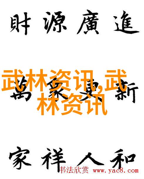 自学习习新拳法或招式时应如何有效记忆和重复