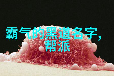 灵动风云南派太极拳