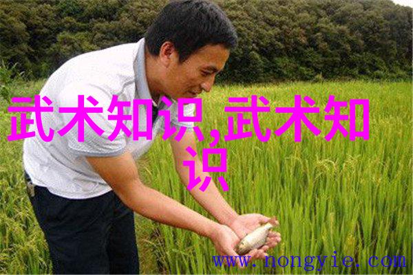 在这片宁静的乡间一个名为功力拳的休闲养老帮派等待着你的加入它以门派拳种为核心传承着一门独特的武术是否