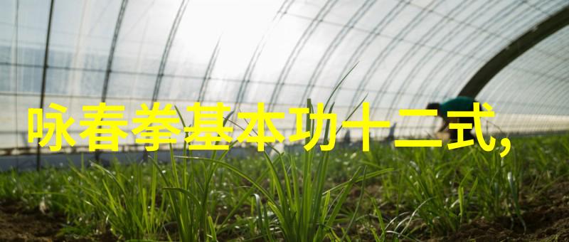 金庸笔下绝世神功排名揭秘太极拳的奥秘
