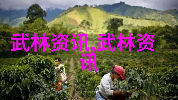 武术资料网上的刘月鹏和成仁芬他们的身法如同灵动的画笔随着呼吸轻盈地在空中绘出一幅幅优雅的姿态他们的上