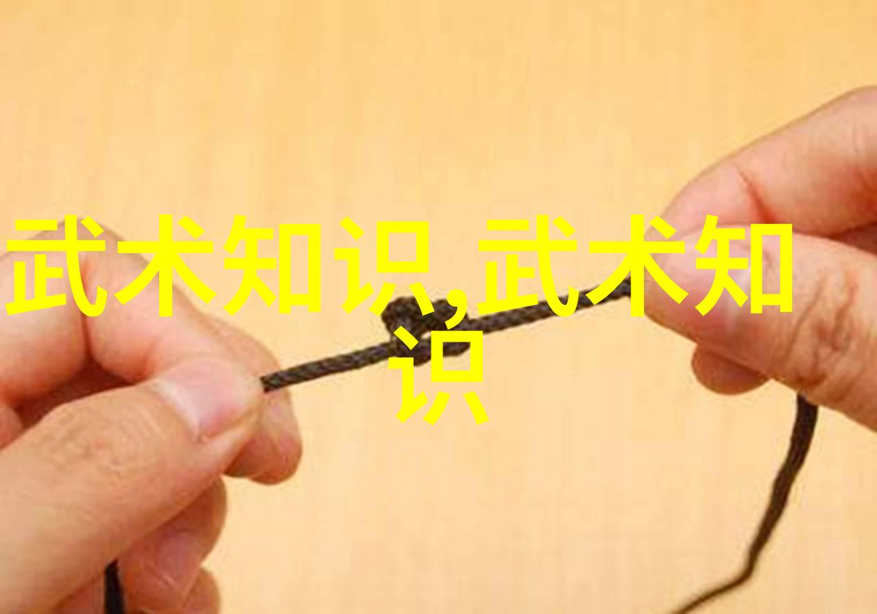太极拳24式步步为营的内外兼修之道