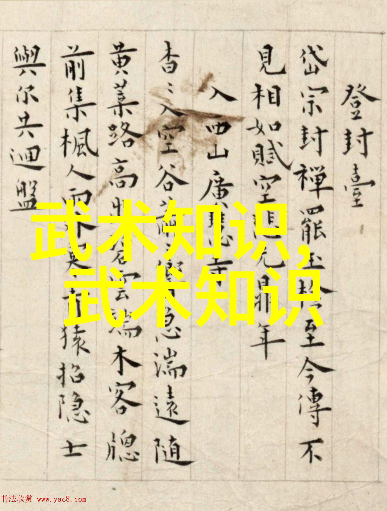 中式拳法精髓解析太极拳的动作要领