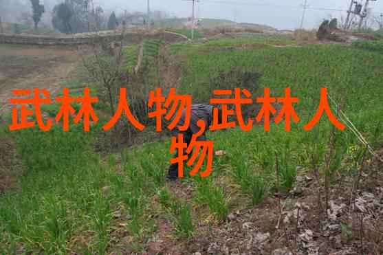 武林16大门派排名谁是最强大的