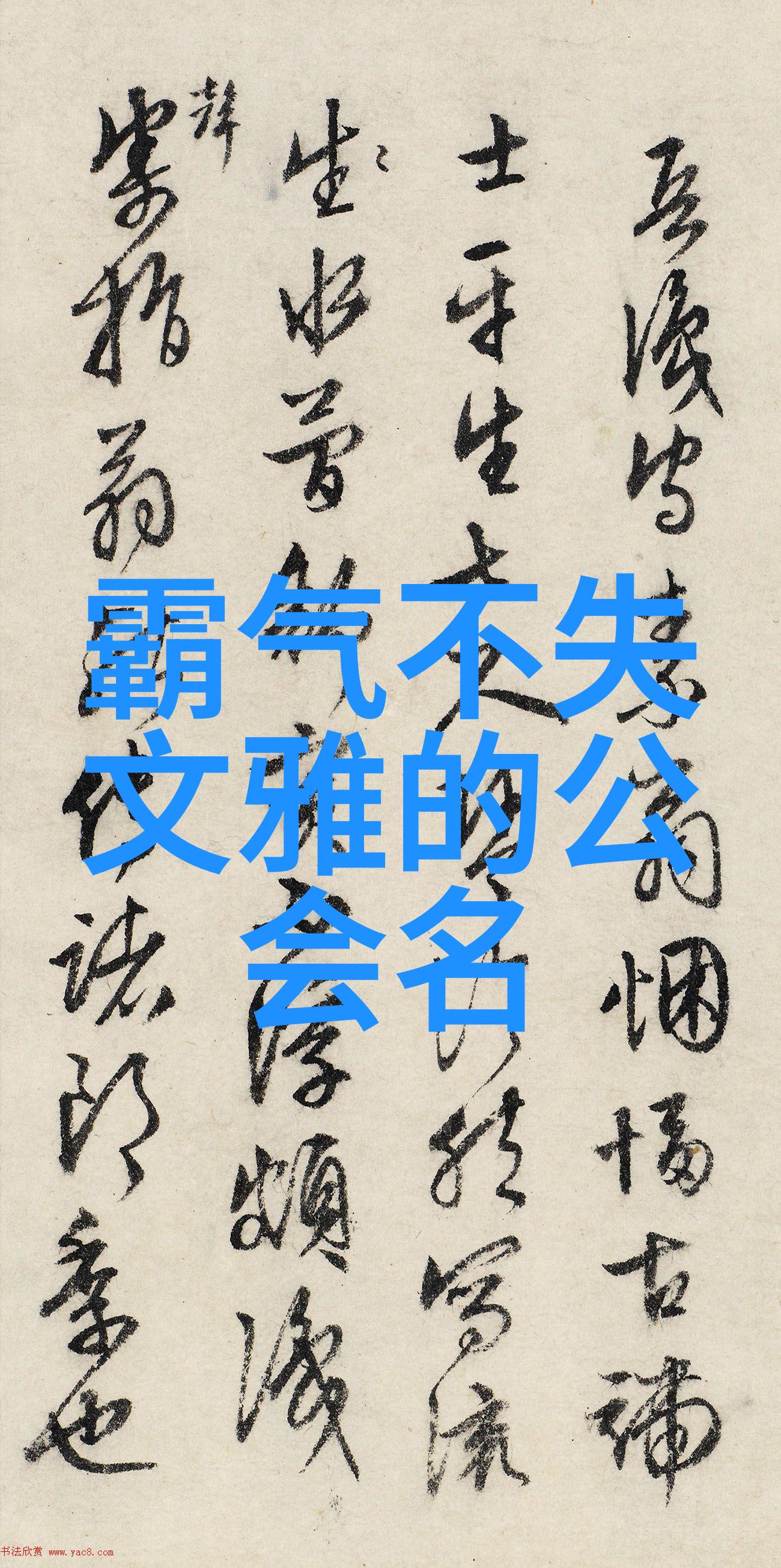 拳影初展揭秘入门拳法之谜