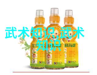 32式太极拳全套分解详解传统武术动作与技巧