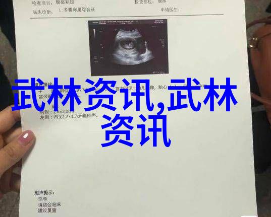如何通过训练提升形意拳在实际战斗中的实战价值和可靠性