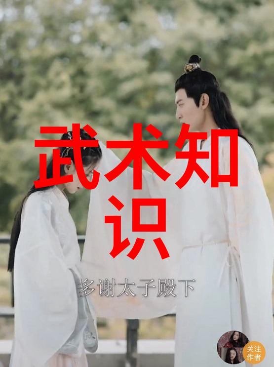 灵动之舞武术教程的诗意探索