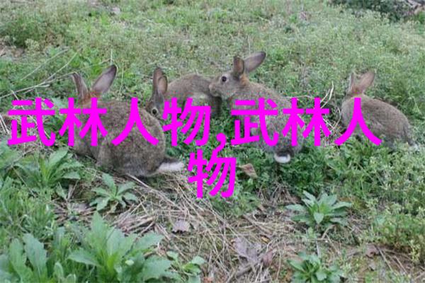 神通广大的秘密十大最强武功的源头