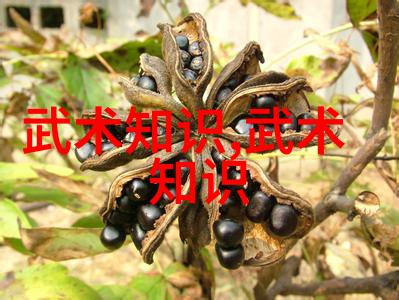 除了传统的内家外派还有哪些非主流或者新兴的武学体系值得关注并且可能会跻身于十大之列呢