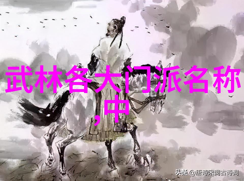中国武术流派探秘拳影中传承的古韵