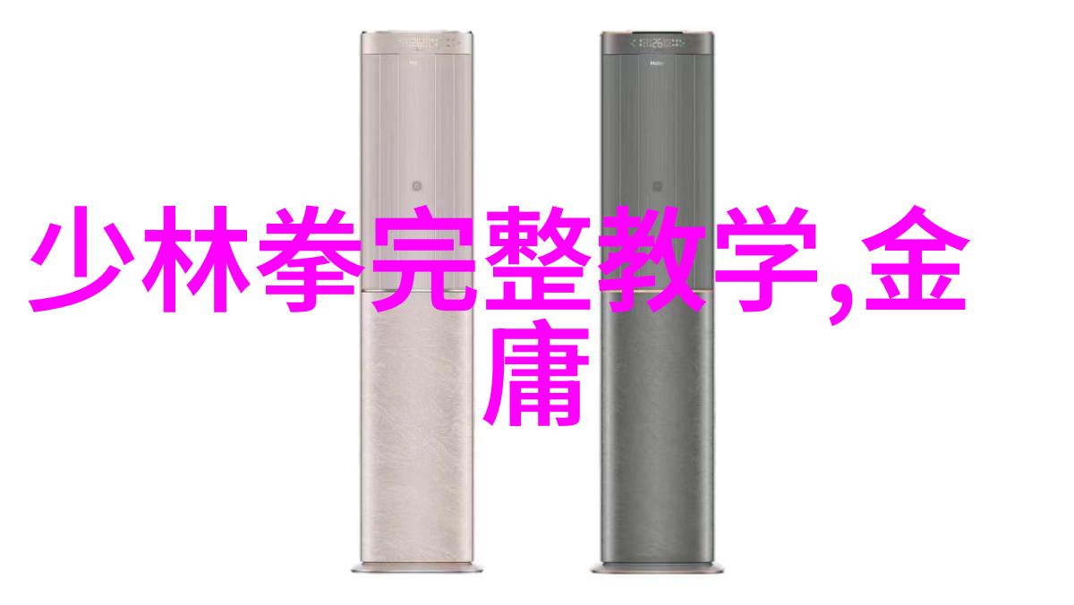 古代武功秘籍-揭秘江湖传说中的内家拳法与外派剑术