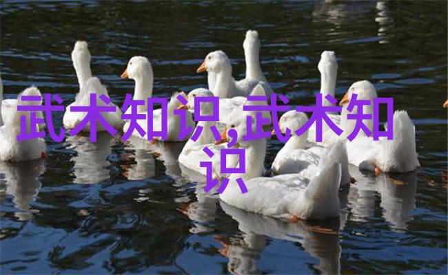 功夫大全秘籍解密与招式演练