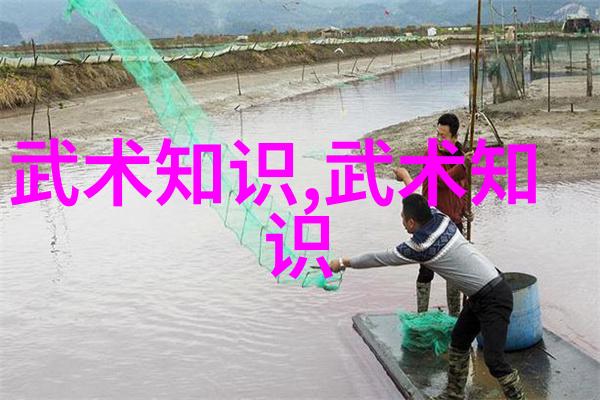 独行侠武学秘籍与未解之谜